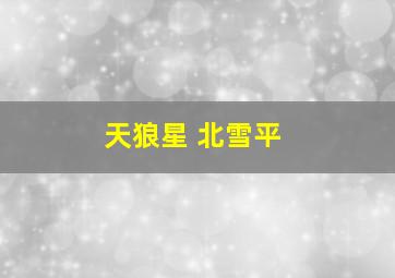 天狼星 北雪平